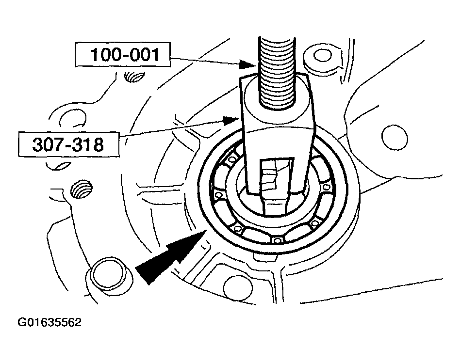 G01635562