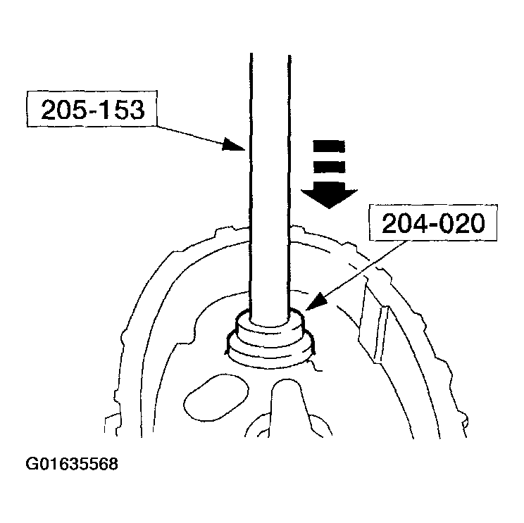 G01635568
