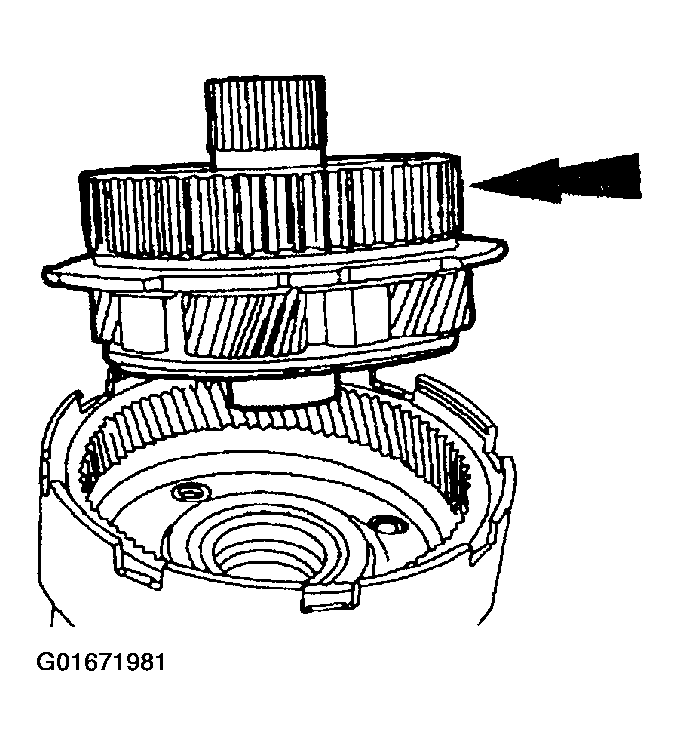 G01671981