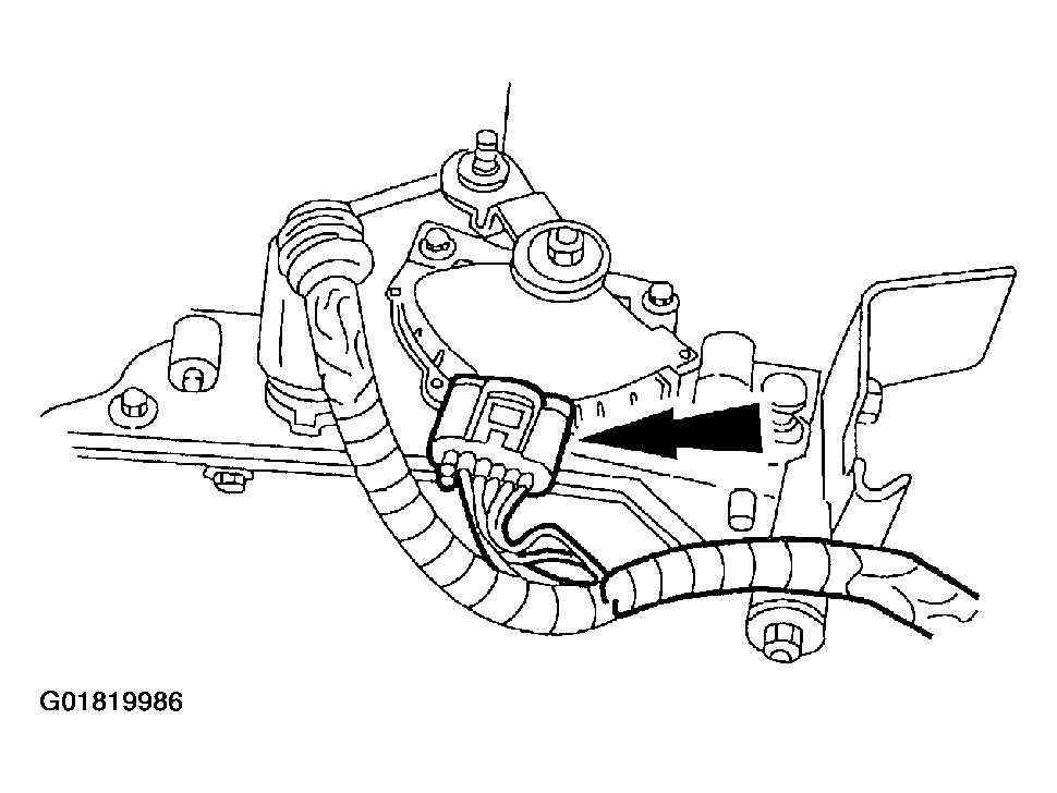 G01819986