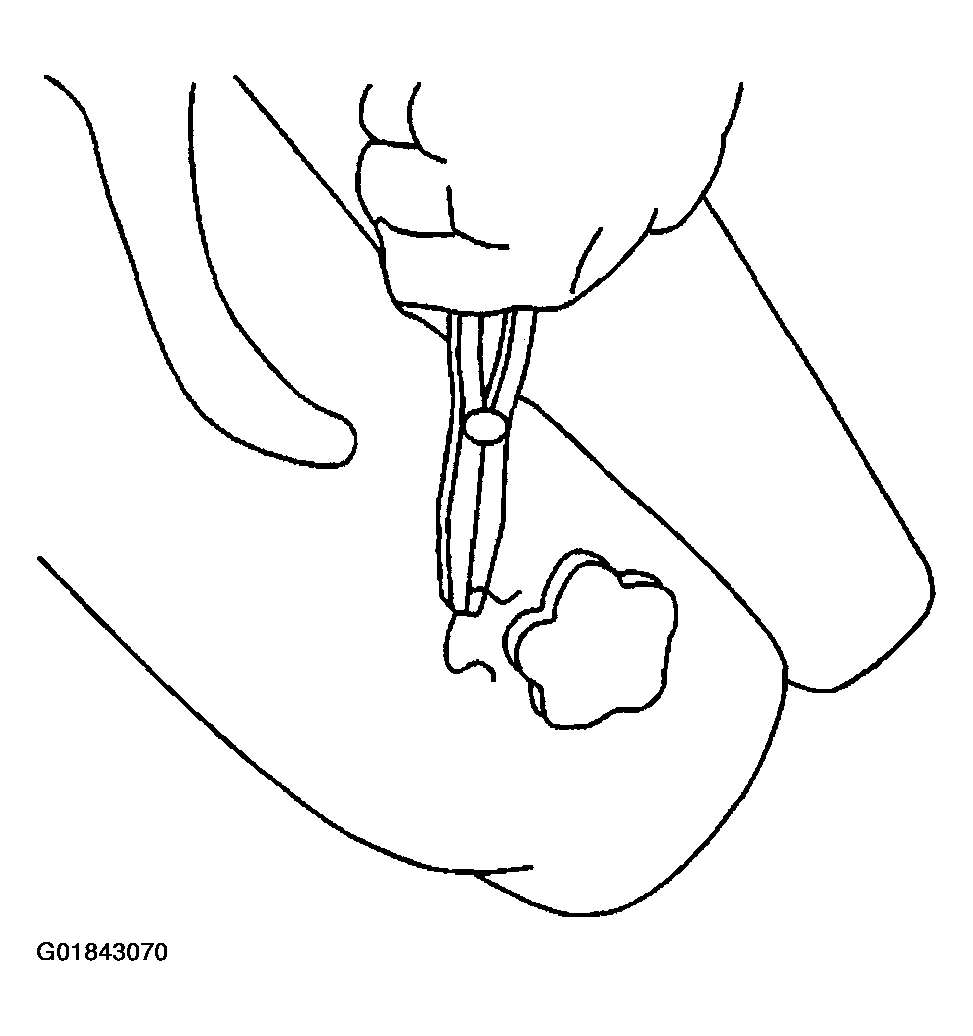 G01843070
