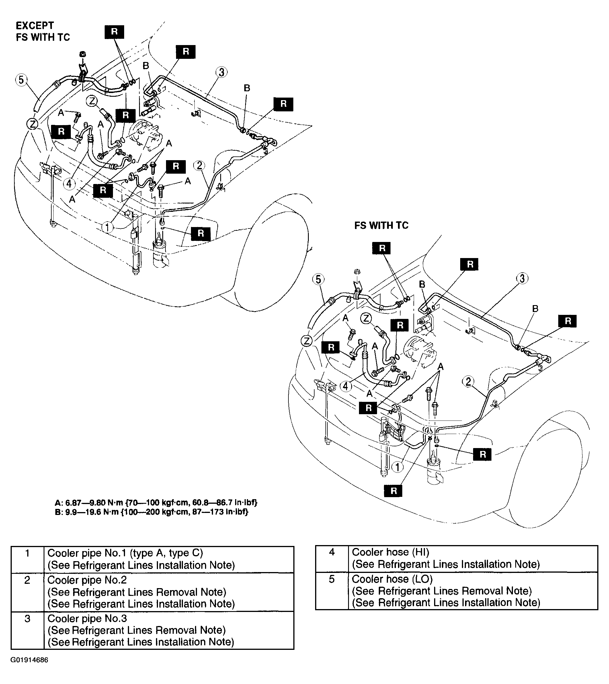G01914686