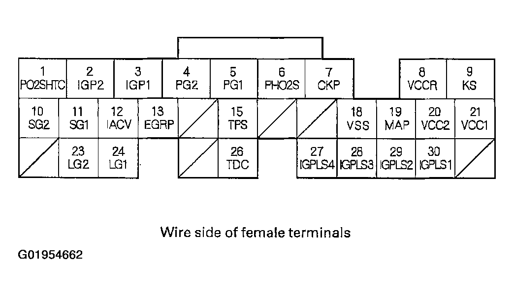 G01954662