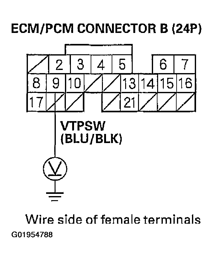 G01954788
