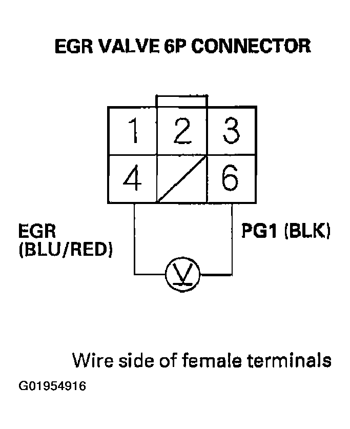 G01954916