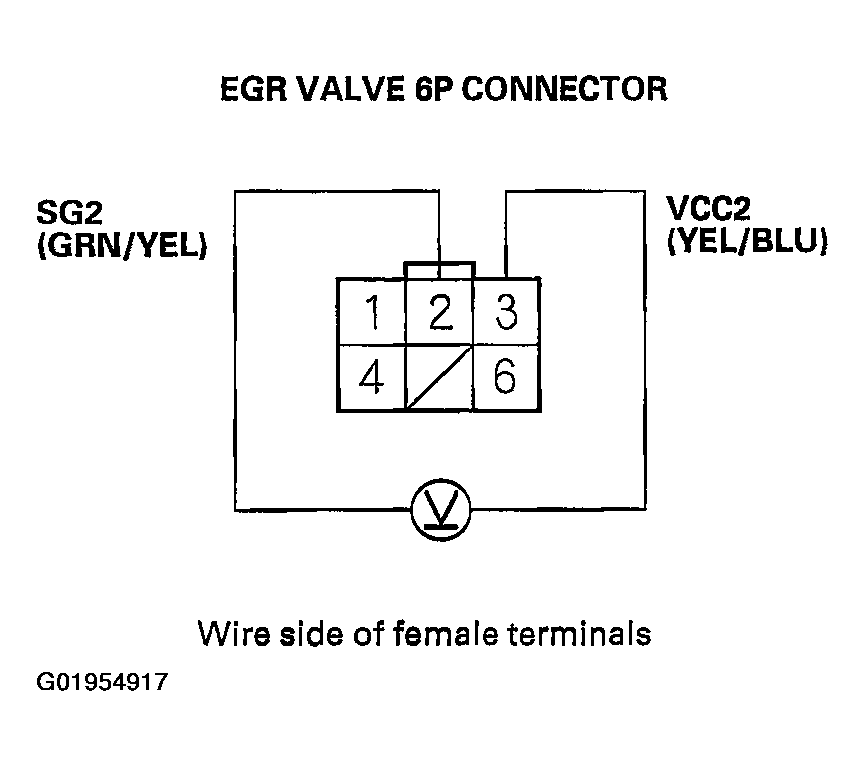 G01954917