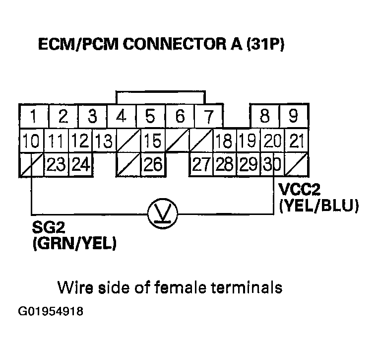 G01954918