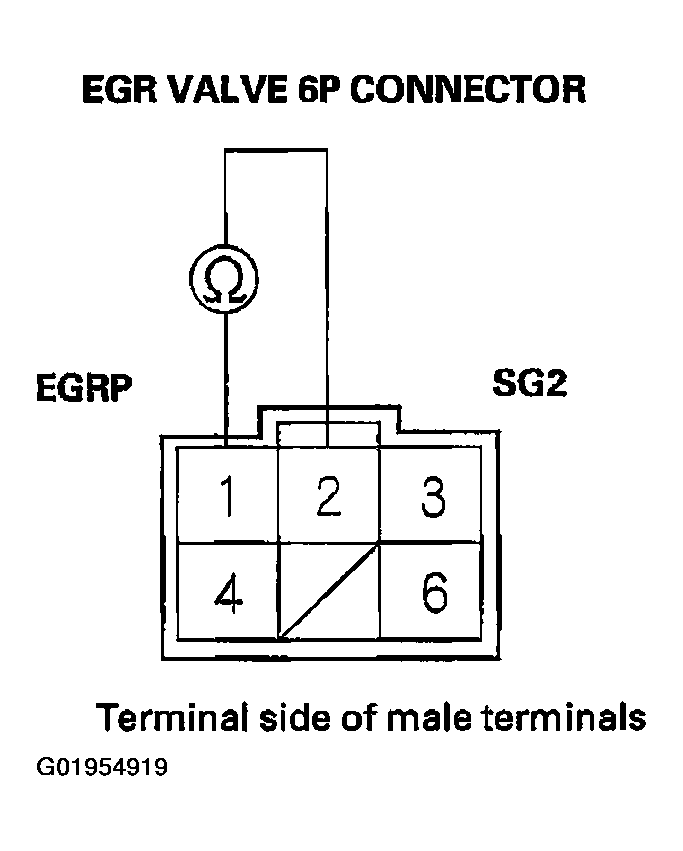 G01954919