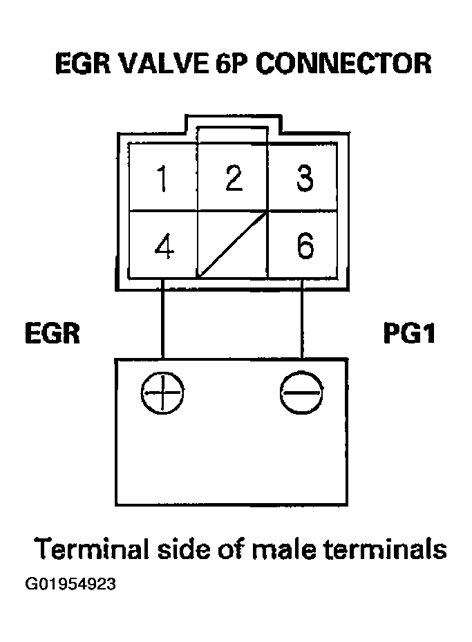 G01954923