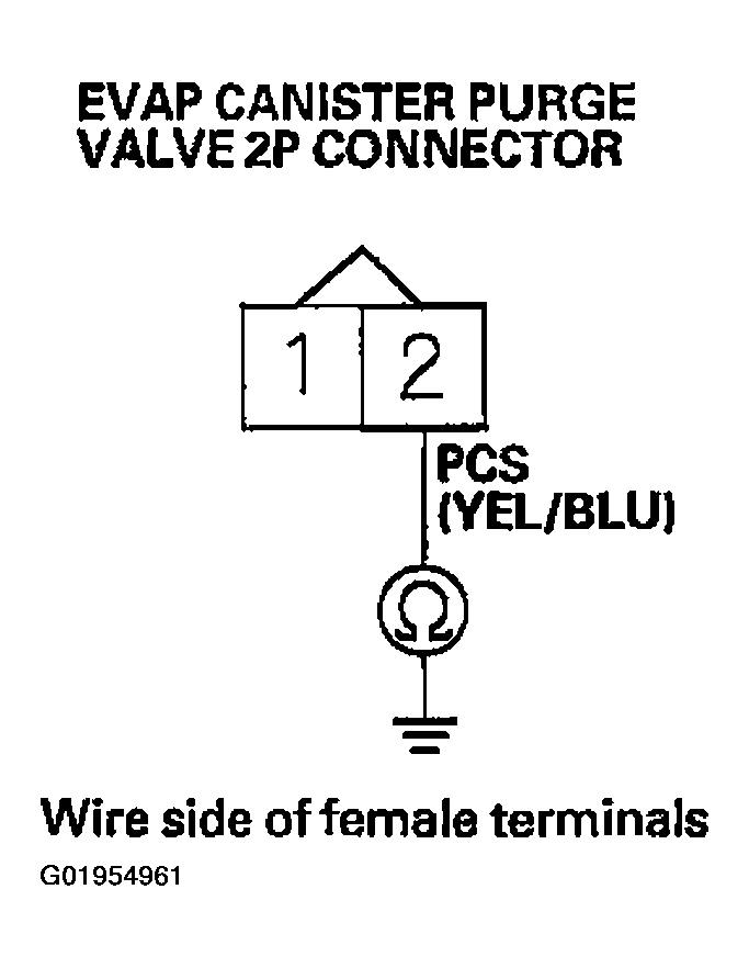 G01954961