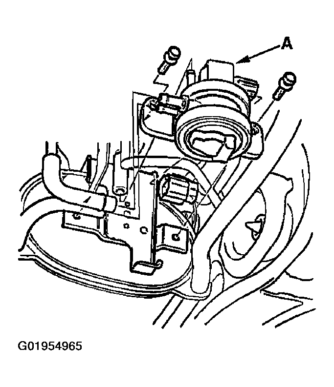 G01954965