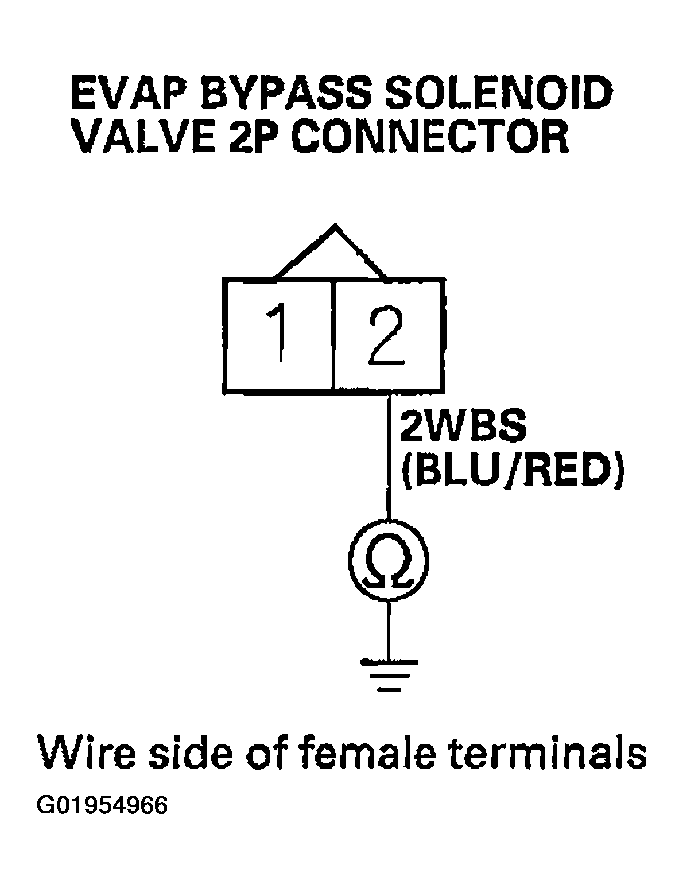 G01954966