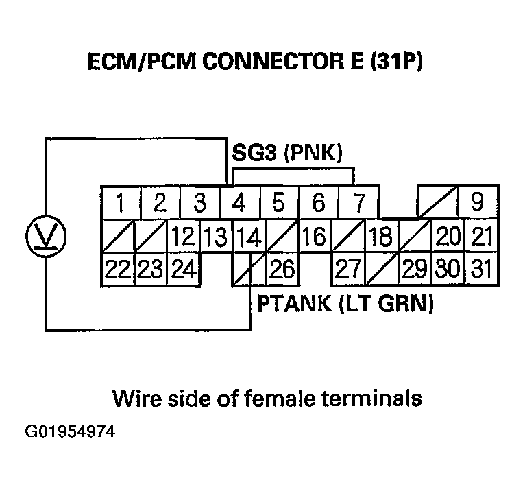 G01954974