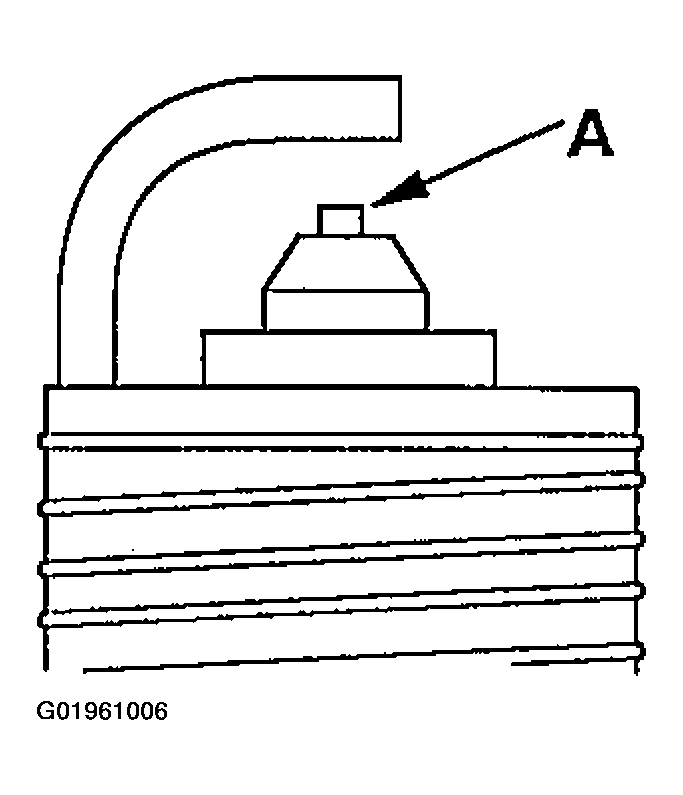 G01961006