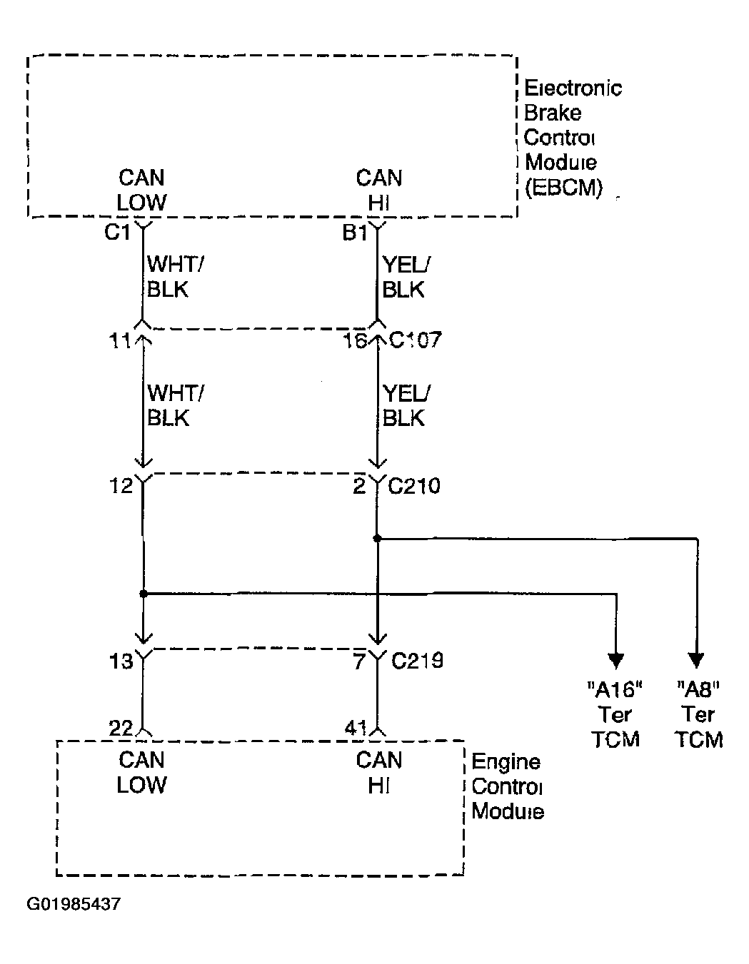 G01985437