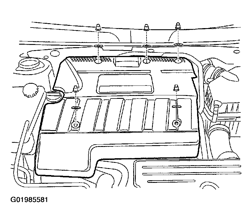 G01985581