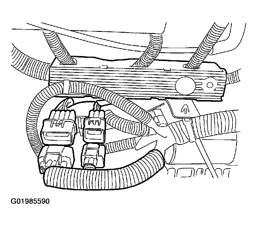 G01985590