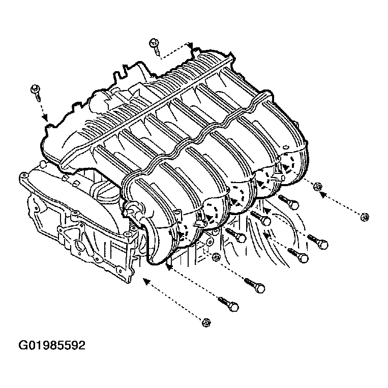 G01985592