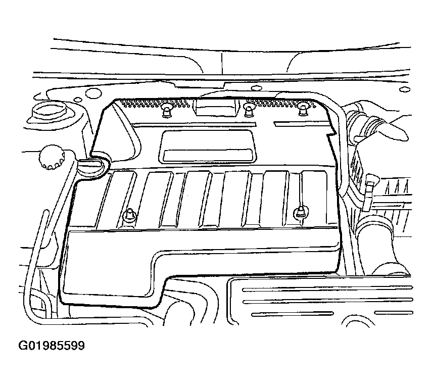 G01985599