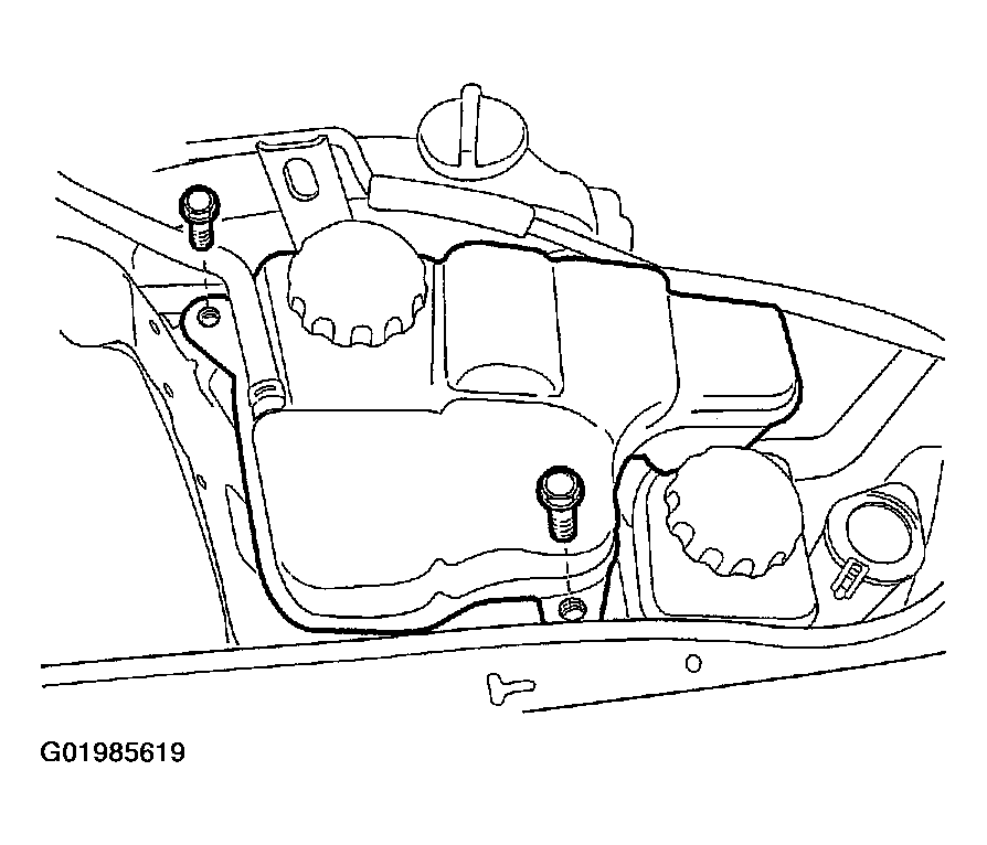 G01985619