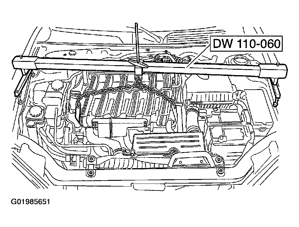 G01985651