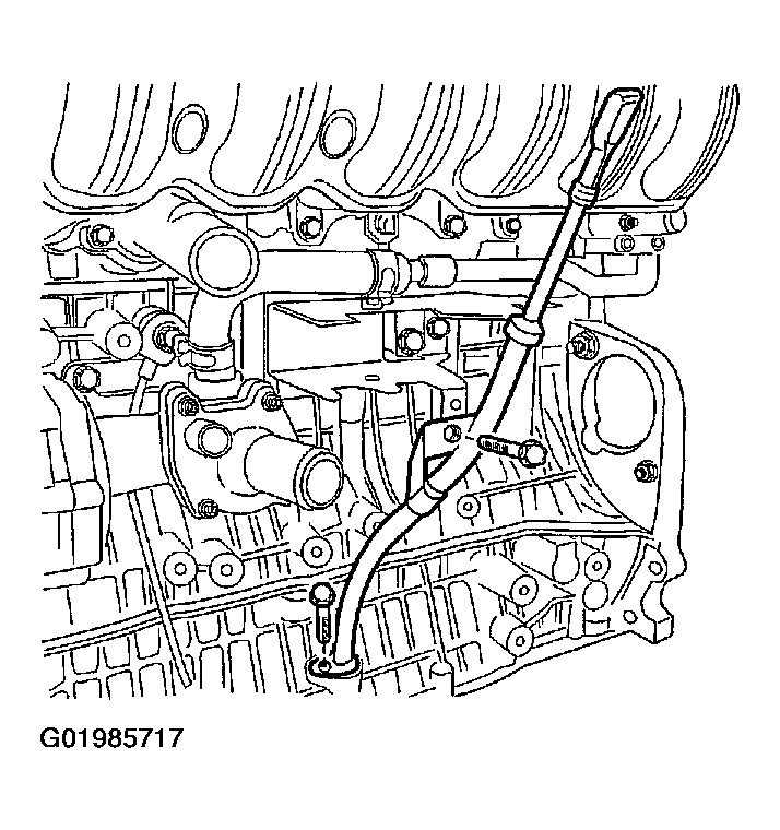 G01985717