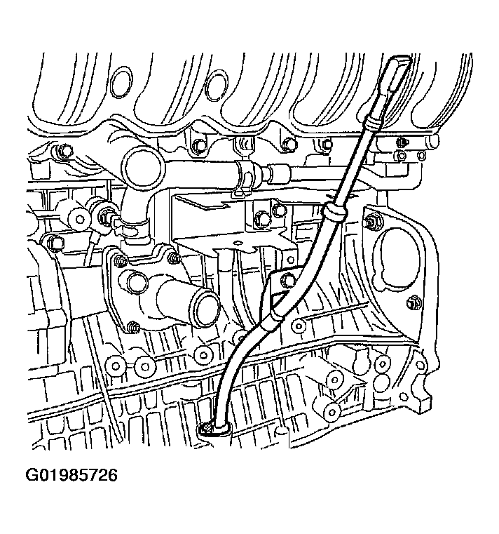 G01985726