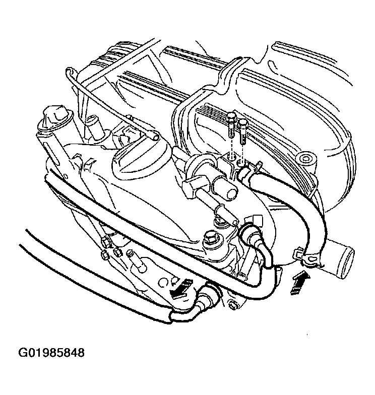G01985848