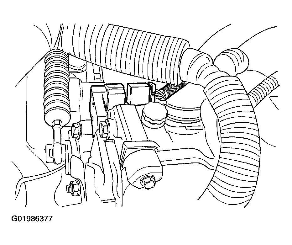 G01986377