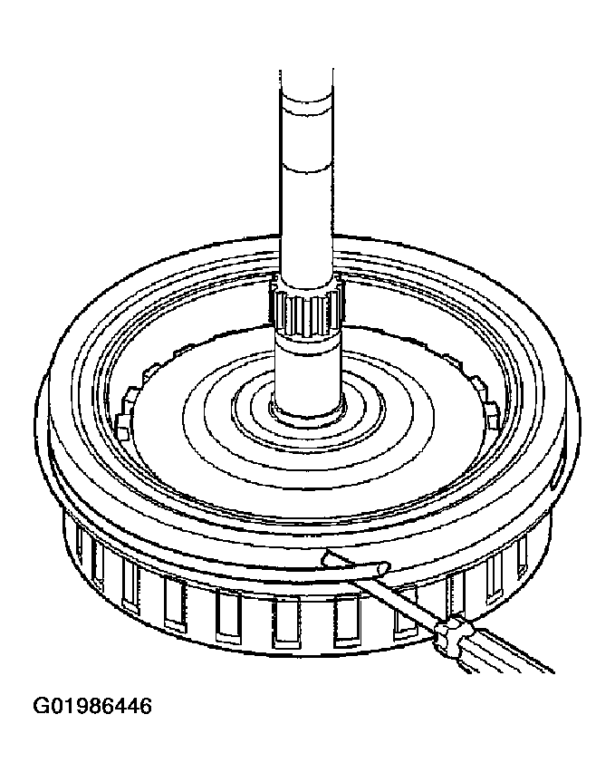 G01986446