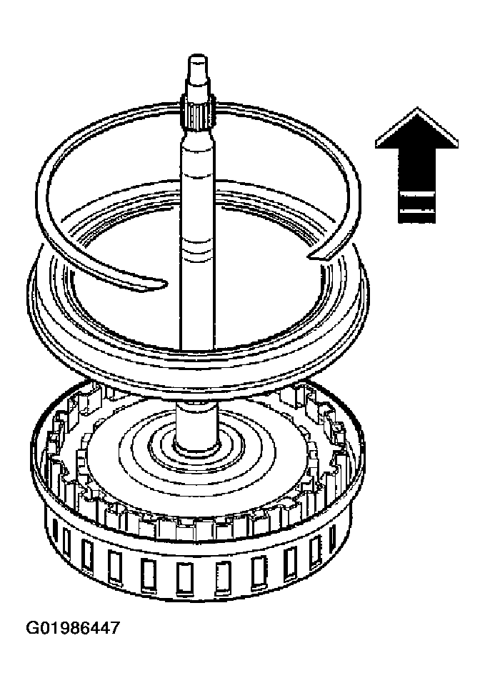 G01986447
