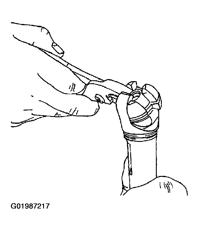 G01987217