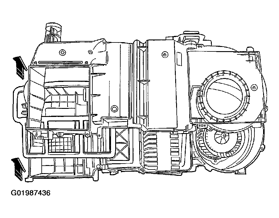 G01987436