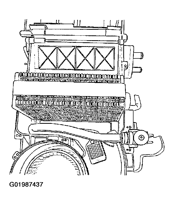 G01987437