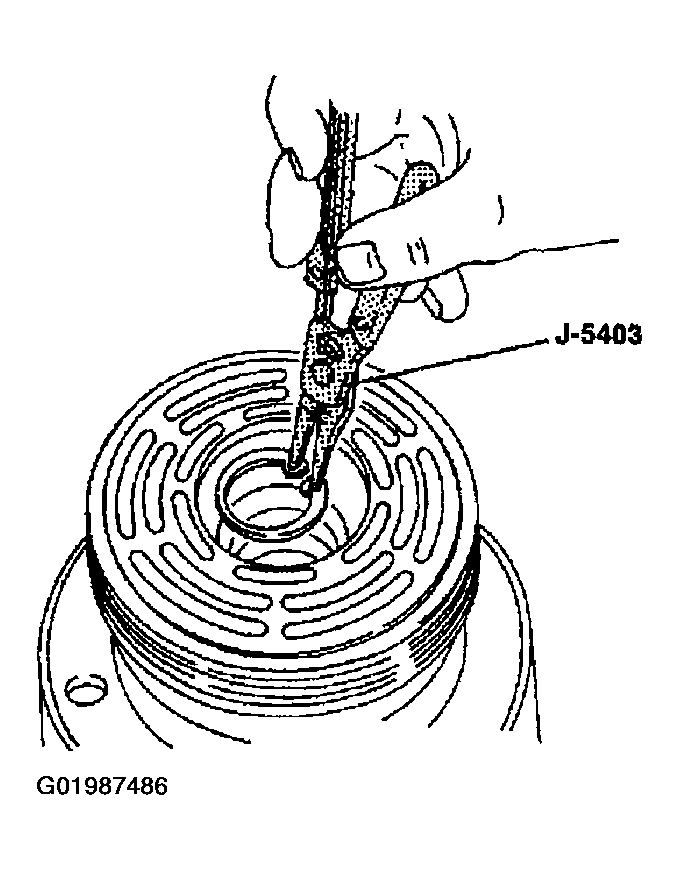 G01987486