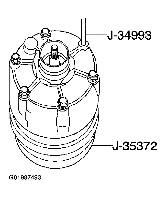G01987493