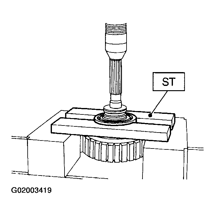 G02003419