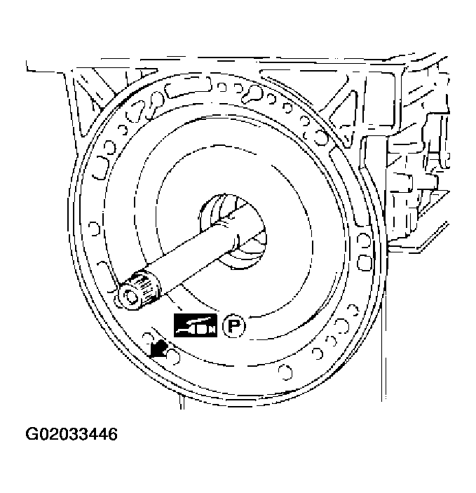 G02033446