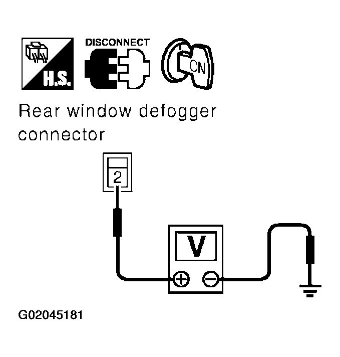 G02045181