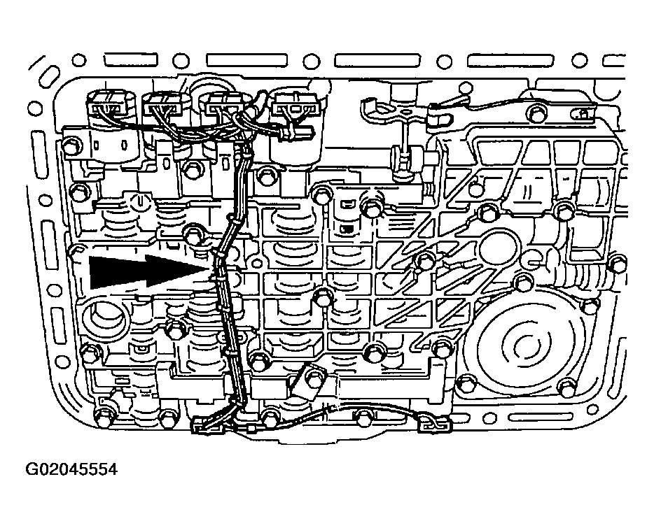 G02045554