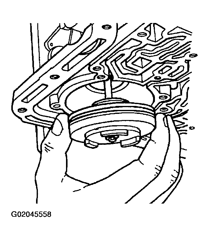 G02045558