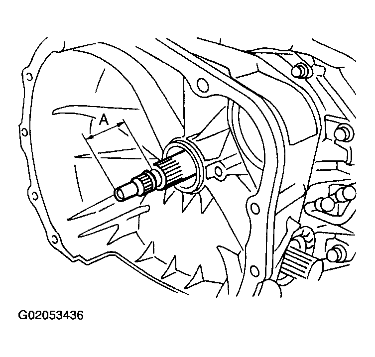 G02053436