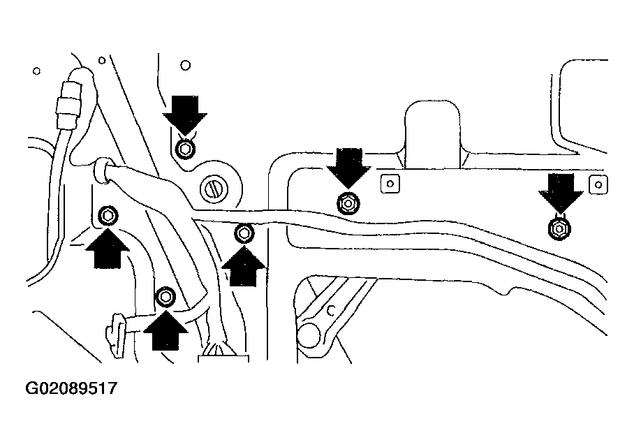 G02089517