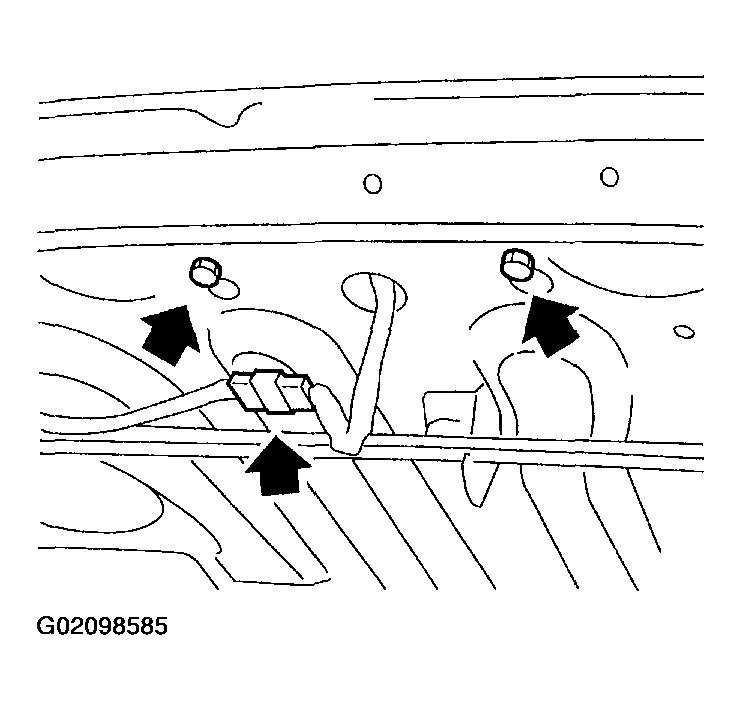 G02098585