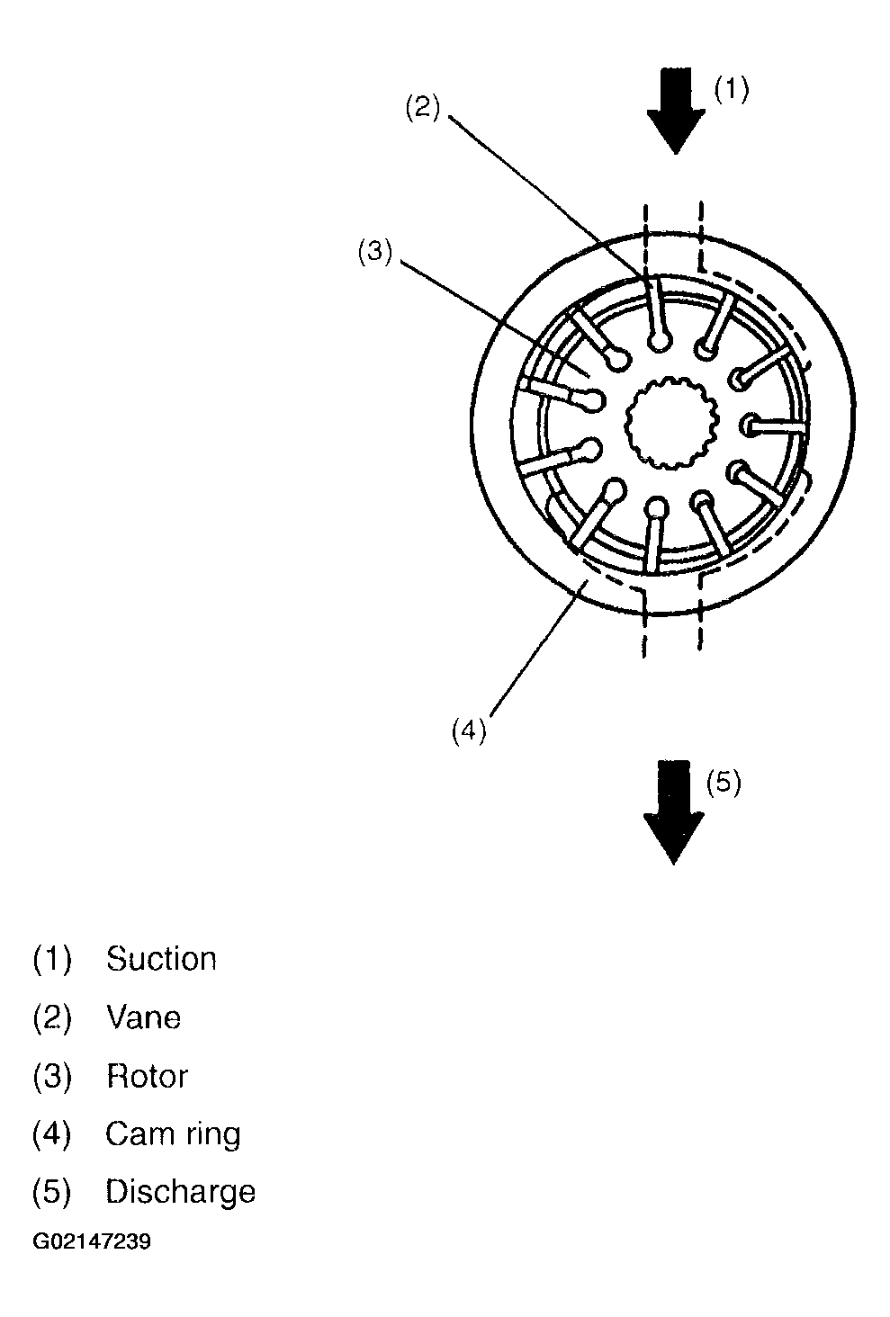G02147239