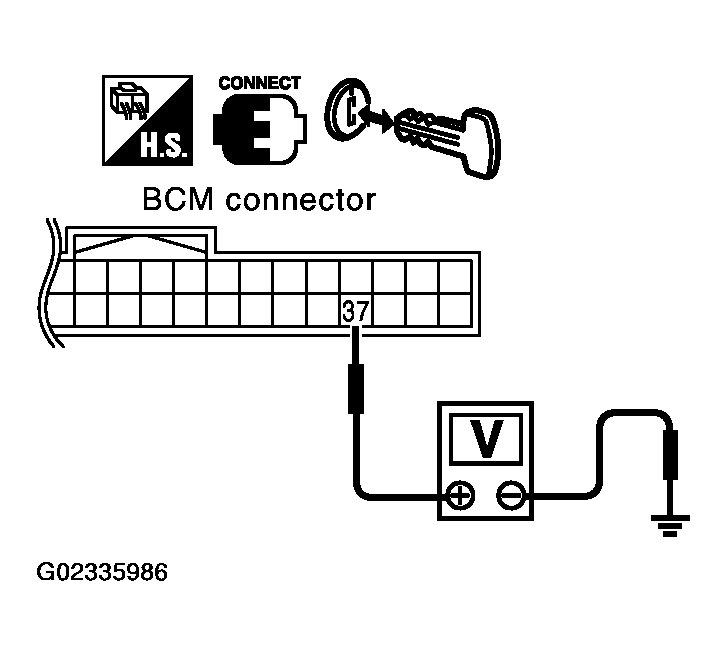G02335986