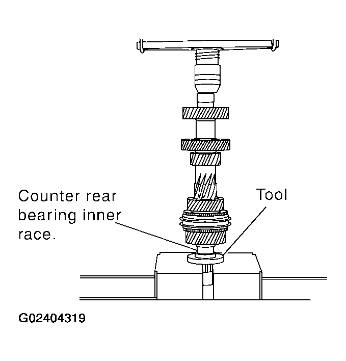 G02404319