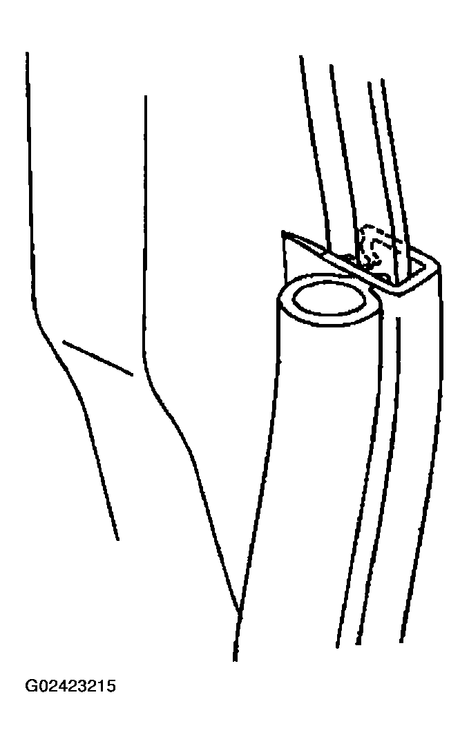 G02423215