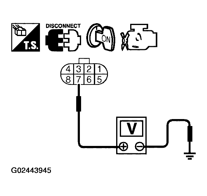 G02443945