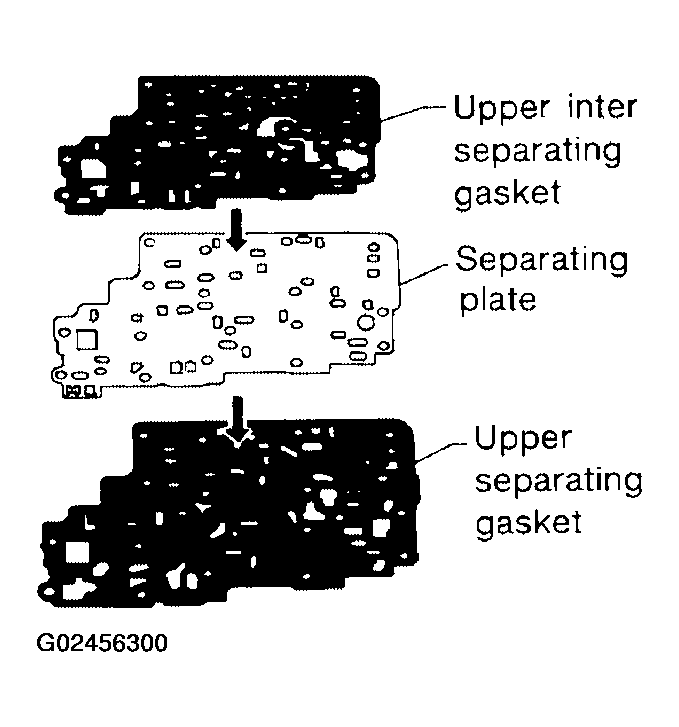 G02456300